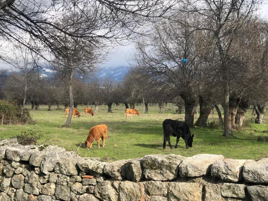 Guadarrama, Atico Nuevo Con Espectaculares Vistas Lejlighed Eksteriør billede